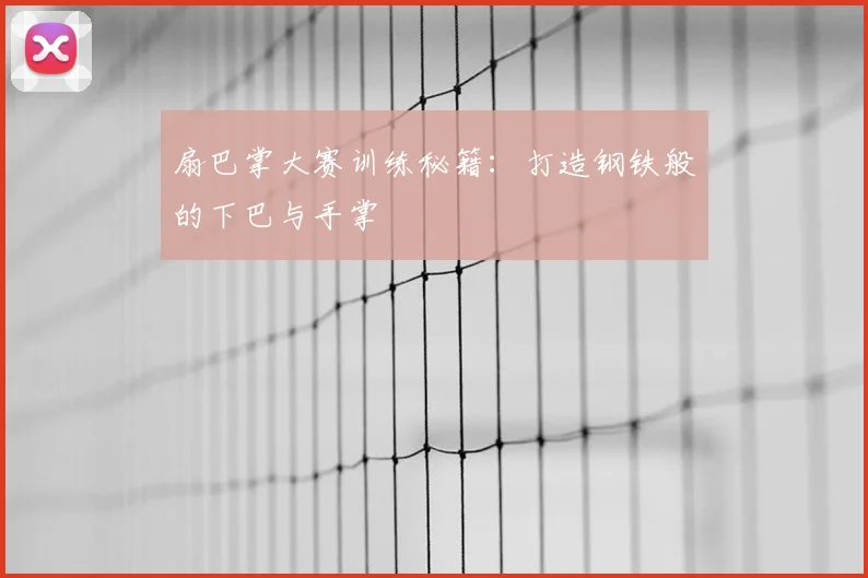扇巴掌大赛训练秘籍：打造钢铁般的下巴与手掌