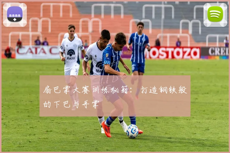扇巴掌大赛训练秘籍:打造钢铁般的下巴与手掌